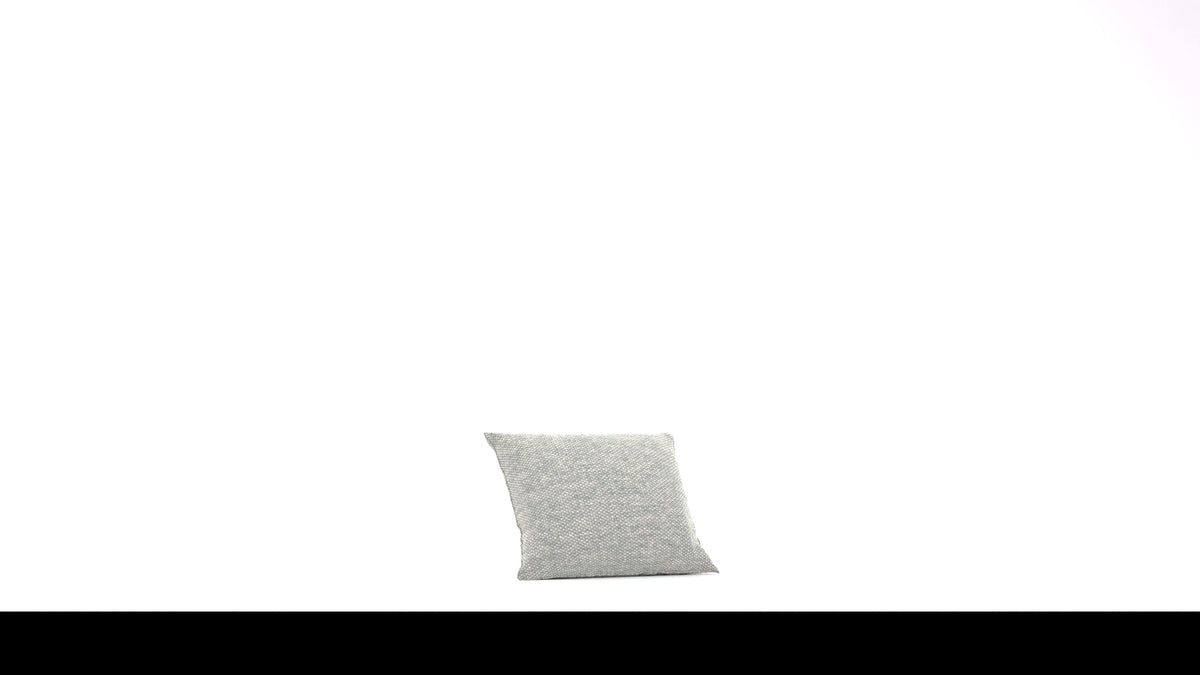 Bard C1 Kissen