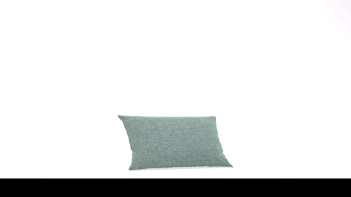 Bard C2 Kissen