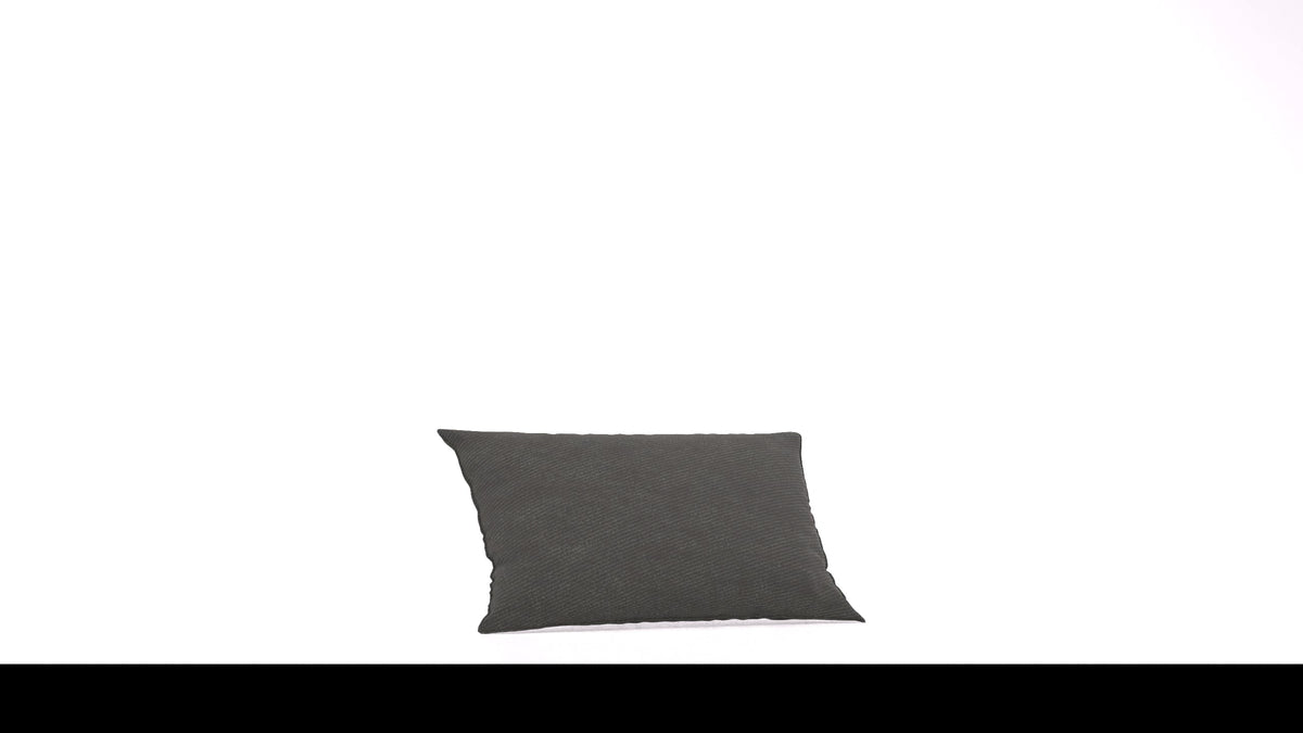 Bard C2 Kissen