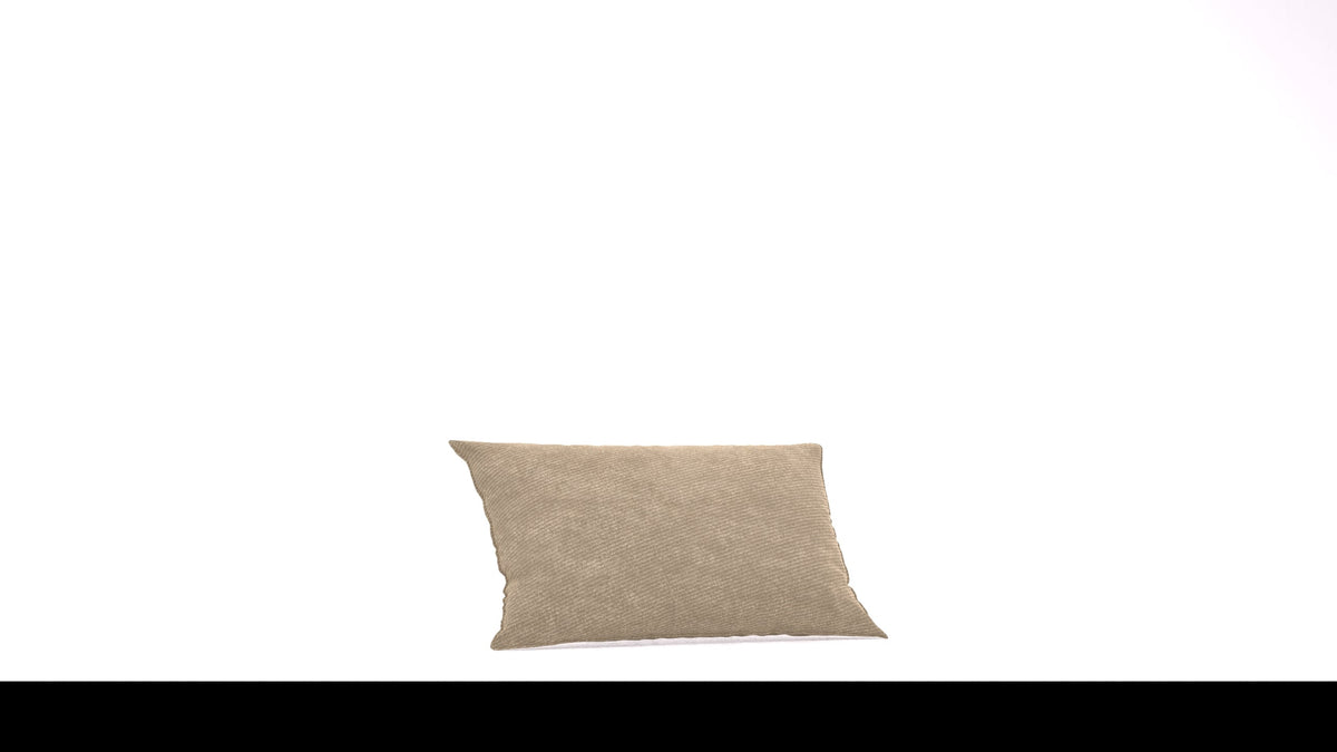 Bard C2 Kissen