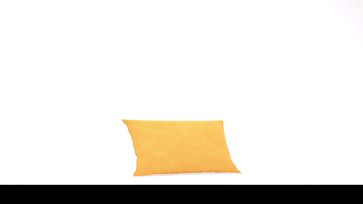 Bard C2 Kissen