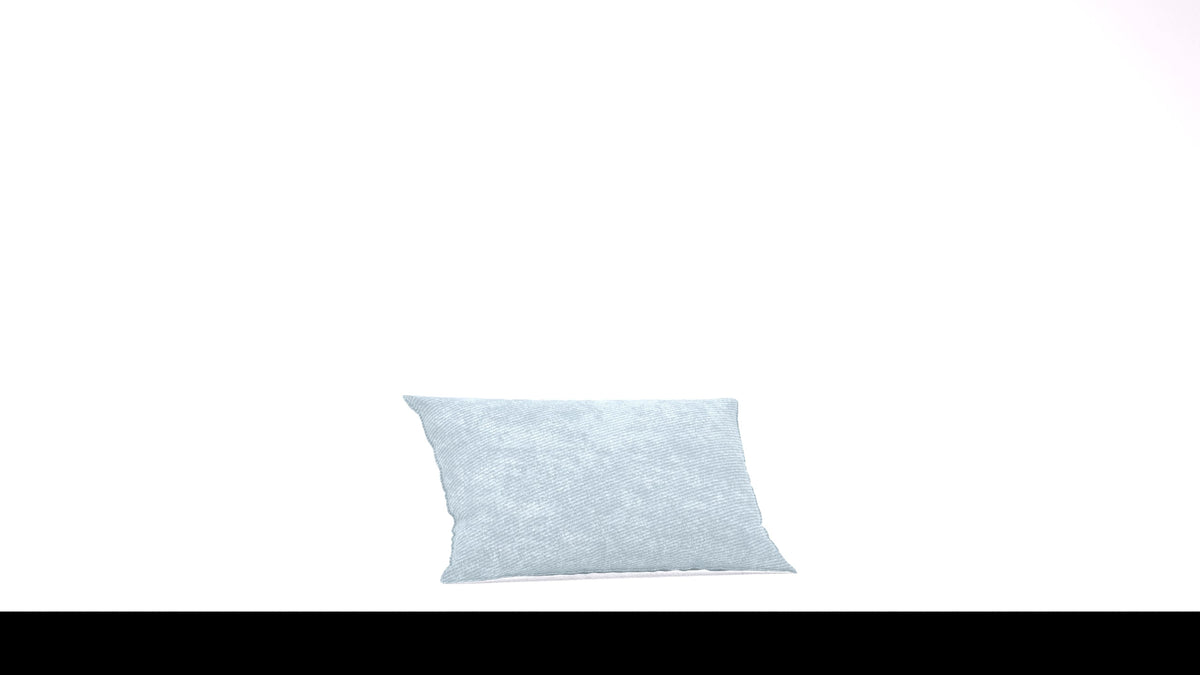 Bard C2 Kissen