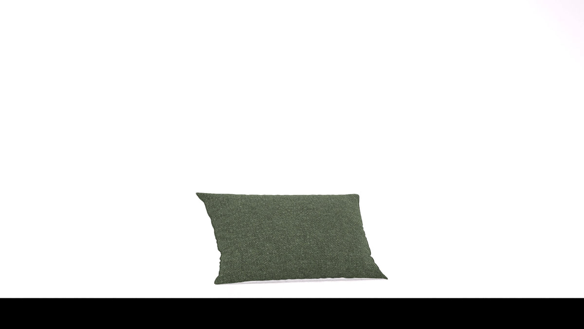 Bard C2 Kissen