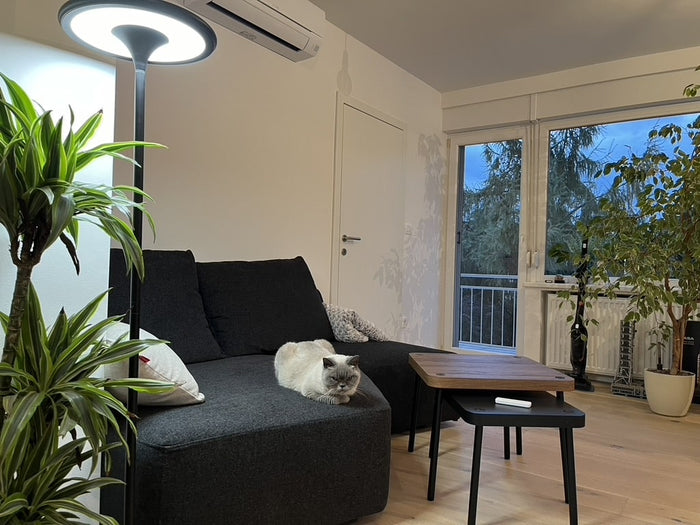 FEYDOM Sofa, Lovro