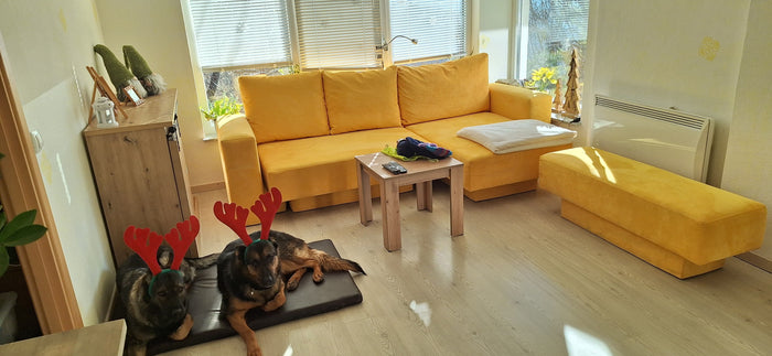 FEYDOM Sofa, Maja