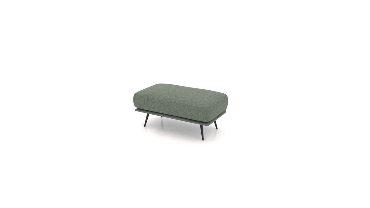 IC-39: Forest